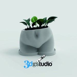 May include: A gray, body-shaped planter with a small, round base, holding several green plants. The planter has a smooth, matte finish and a unique design. The logo for 3d g studio is in the bottom right corner.