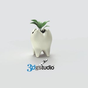 Puede incluir: Un macetero de cerámica blanca con forma de diente con una pequeña planta verde que crece en la parte superior. El macetero está sobre una superficie blanca. 3dgstudio está escrito en azul y negro debajo del macetero.
