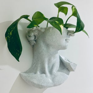 Hanging David Planter / Wall hanging David planter pot