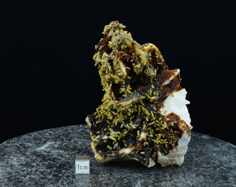 Pyromorphite - crystal specimen - Ussel, France 106 x 75 x 50 mm