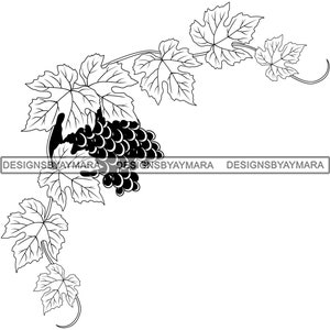 Grape Vine Fresh Fruit Juicy Wine Vineyard Autumn Sweet Food Illustration B/W SVG PNG JPG Clipart Vector Designs Silhouette Cricut Cutting