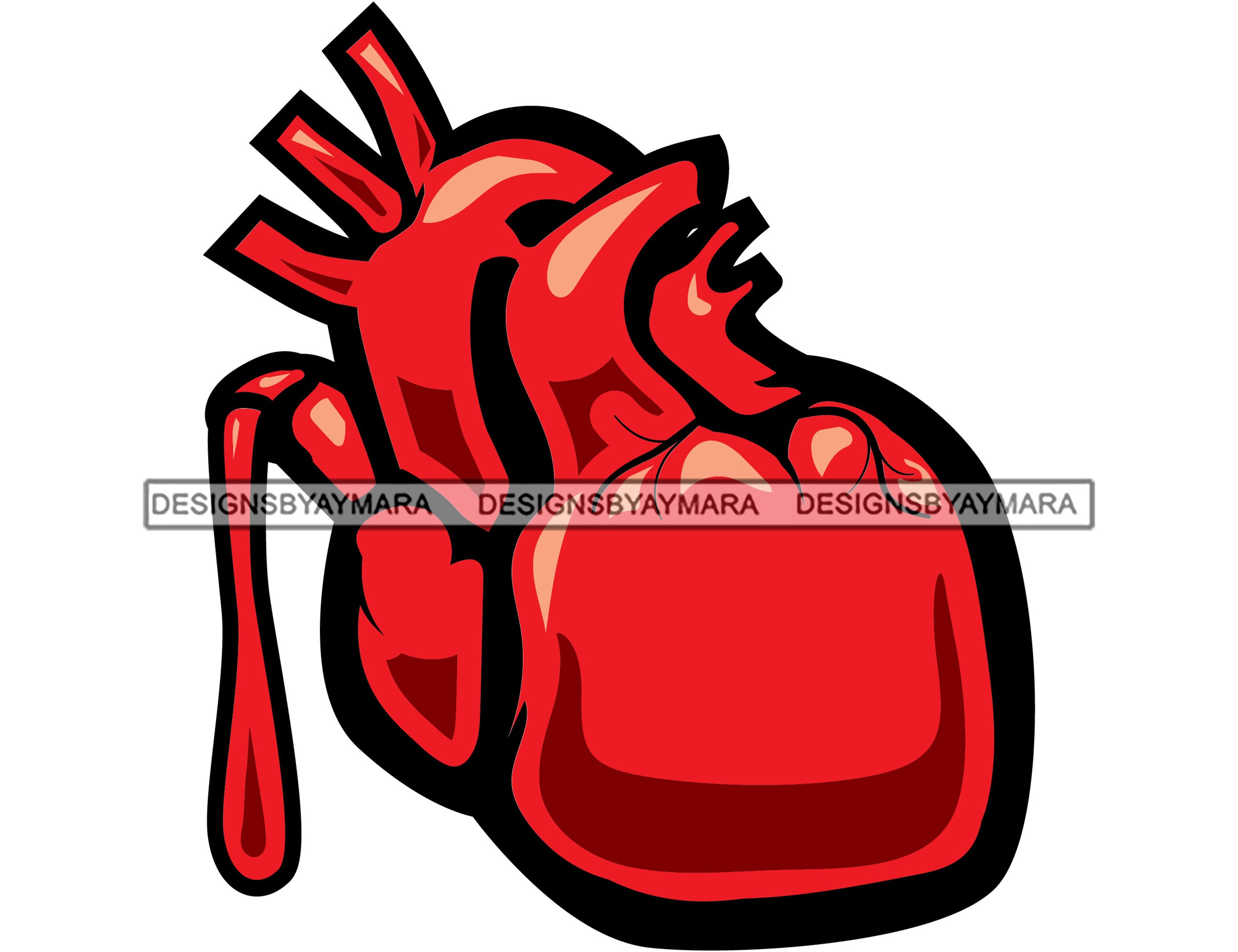 Human Heart Organ Pumps Blood Circulatory System Illustration Etsy