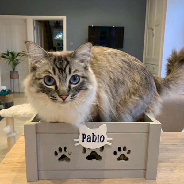 Small Toy Box for Cat Etsy