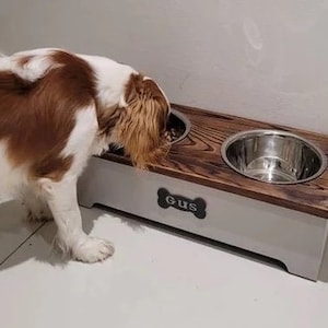 May include: A wooden dog bowl stand with two stainless steel bowls. The stand is painted white and has a bone-shaped name tag that says "GUS". A brown and white dog is eating from one of the bowls.