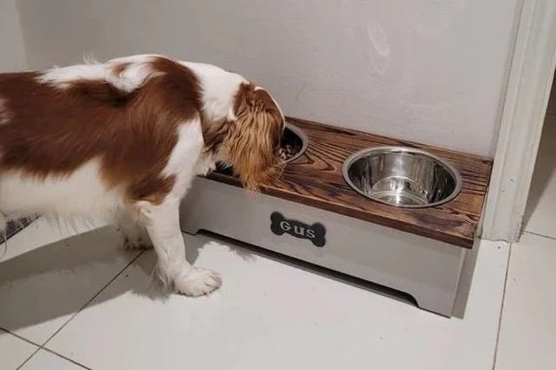 May include: A wooden dog bowl stand with two stainless steel bowls. The stand is painted white and has a bone-shaped name tag that says "GUS". A brown and white dog is eating from one of the bowls.
