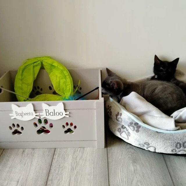 Personalised Toy Box Cat Box Gift Box Crate Cat Treat Etsy UK