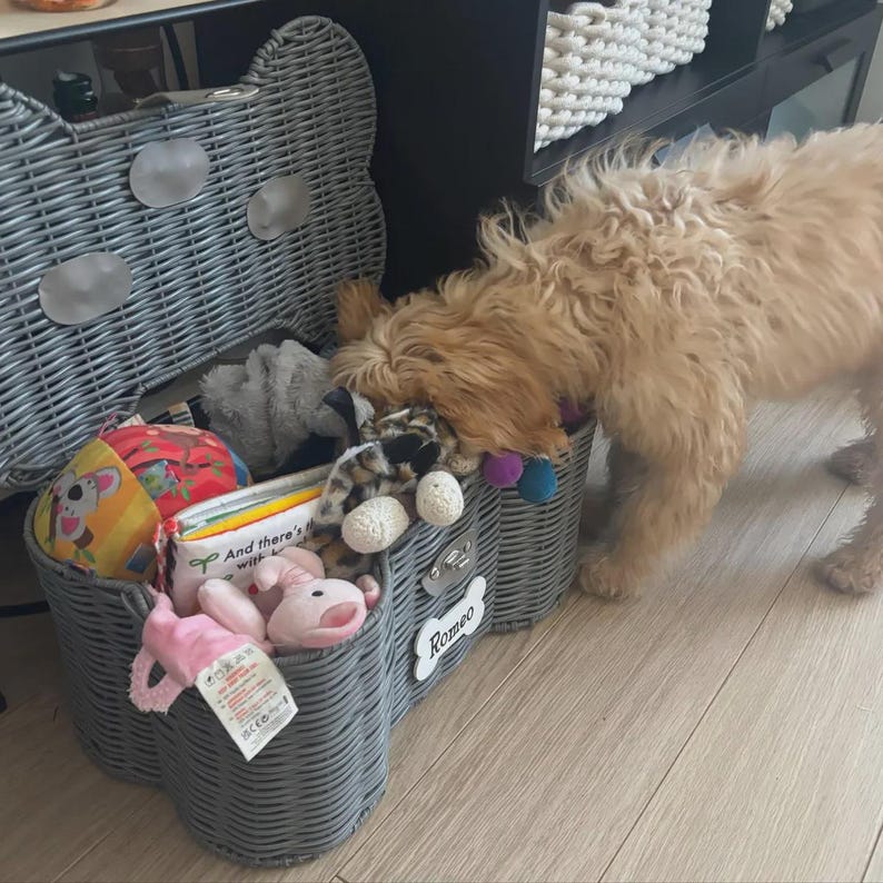 May include: A grey woven storage basket shaped like a bone with a hinged lid. The front features a white bone-shaped plaque with the name Romeo printed in black. The basket is filled with various colourful plush toys and a small book.