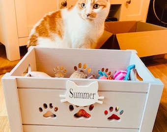 kitten toy box