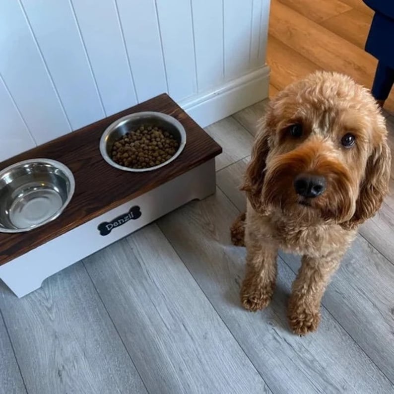 May include: A wooden dog food and water bowl stand with two stainless steel bowls. The stand is painted white with a brown top and has a black bone-shaped name tag that says "Denzil". A brown and white dog is sitting in front of the stand.