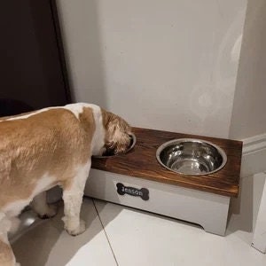 May include: A wooden dog food and water bowl stand with two stainless steel bowls. The stand is painted white with a dark wood top and a nameplate that says "Jenson" with a bone icon. A brown and white dog is eating from the bowl.