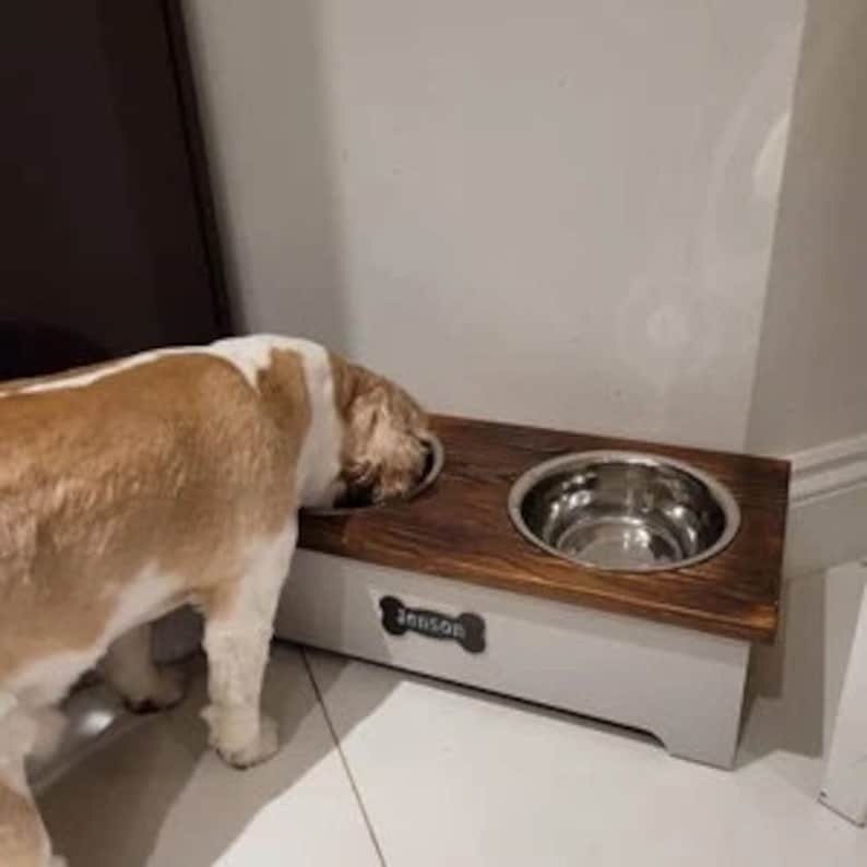 May include: A wooden dog food and water bowl stand with two stainless steel bowls. The stand is painted white with a dark wood top and a nameplate that says "Jenson" with a bone icon. A brown and white dog is eating from the bowl.