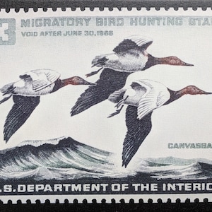 May include: A vintage $3 U.S. Department of the Interior Migratory Bird Hunting Stamp featuring three canvasback ducks in flight over a wave. The stamp is valid until June 30, 1966.