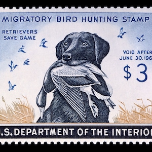 BUNDESENTE STEMPEL Giclee Leinwand "König Buck"rw-26."