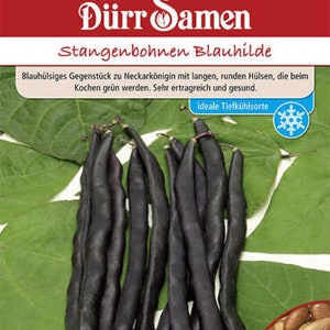 以下が含まれることがあります： 「Dürr Samen Stangenbohnen Blauhilde」の種子パック。濃い紫色の豆が緑の葉の上に集まっています。 パックには赤と白の文字があり、右下には豆の小さな画像があります。