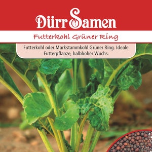 Repollo forrajero Semillas de repollo verde de Dürr Samen Verduras de repollo aprox. 200 granos