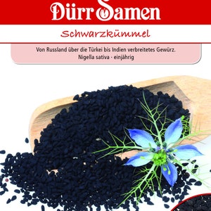Black cumin seeds from Dürr seeds caraway seeds spices approx. 200 grains