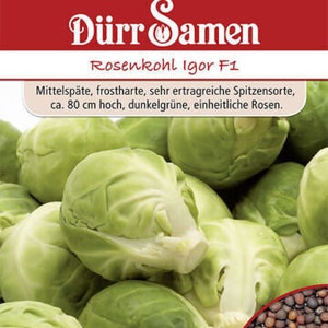 Könnte beinhalten: Nahaufnahme einer Gruppe dunkelgrüner Rosenkohl. Die Rosenkohlköpfe sind in einem Haufen angeordnet, wobei einige ihre Schnittflächen zeigen. Der Text "Dürr Samen Rosenkohl Igor F1" ist oben im Bild sichtbar. Der Text "Mittelspäte, frostharte, sehr ertragreiche Spitzensorte, ca. 80 cm hoch, dunkelgrüne, einheitliche Rosen." ist unter dem Produktnamen sichtbar. Der Text "Saatgutansicht" ist unten im Bild sichtbar.
