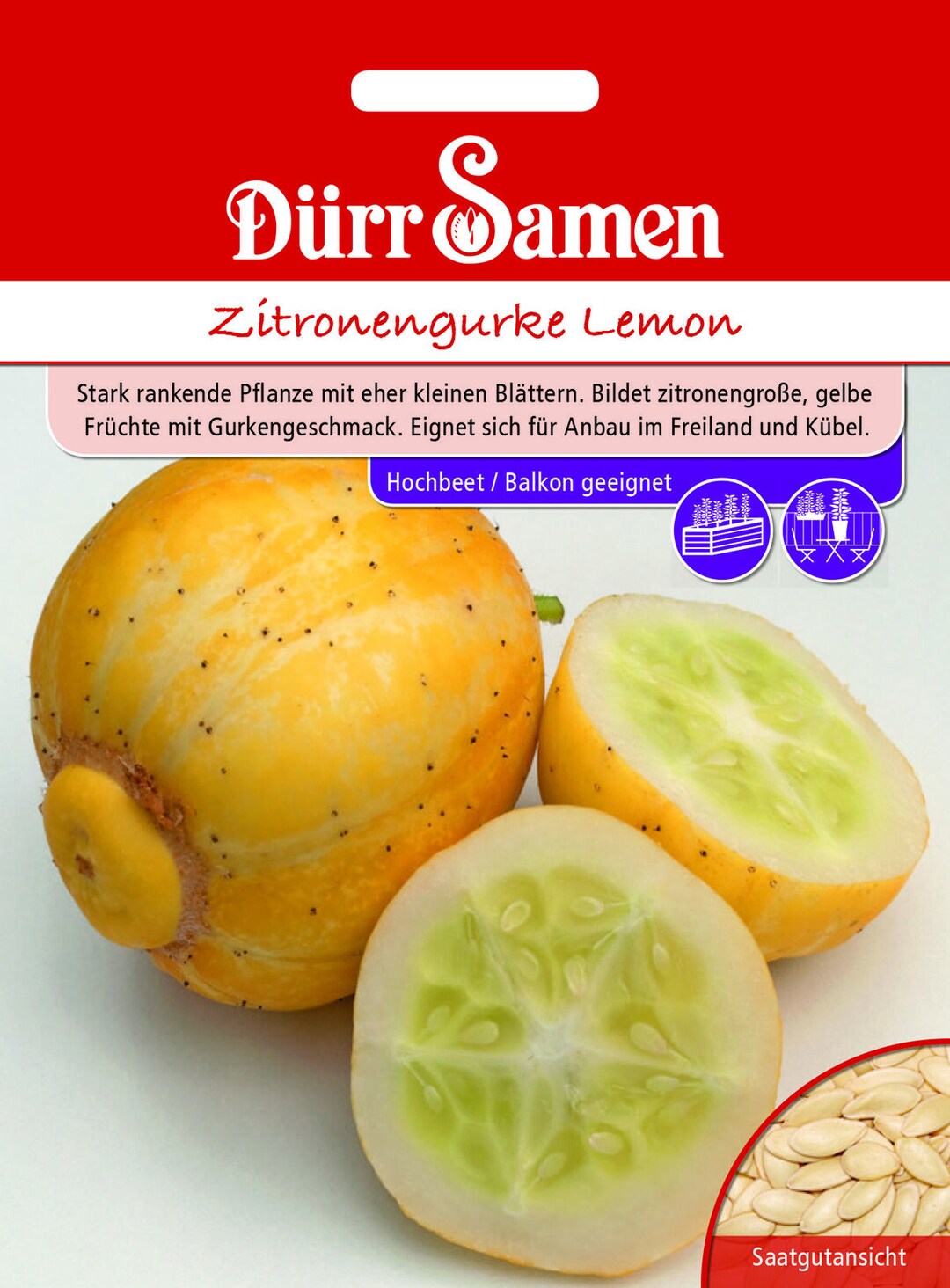 vitelotte saatgut kaufen Feldsalat 'Vit'
