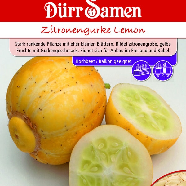 Lemon Cucumber Lemon Top Saatgut by Dürr Samen Cucumber Seeds Information about the item Item condition: --