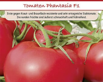 Tomaten Phantasia F1 Tomatensamen von Dürr Samen ca 8 Korn Stabtomate für den Garten