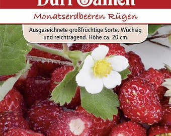 bio tomaten saatgut BIO Saatgut Tomaten-Garten – Biogartenladen main image 0