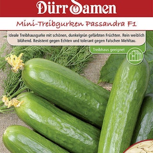 Puede incluir: Primer plano de un paquete de semillas de pepino Mini-Treibgurken Passandra F1. El paquete presenta una foto de varios pepinos verdes y el texto "Dürr Samen" y "Treibhaus geeignet".