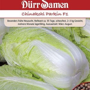 Col china Parkin F1 de Dürr Seeds, aproximadamente 100 semillas