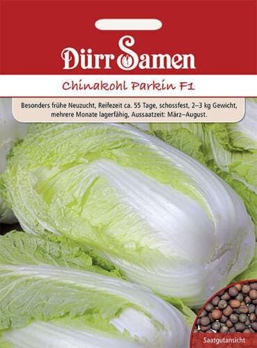 Cavolo Cinese De Chine Pak Choi Taisai - Foto 2