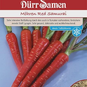 Könnte beinhalten: Nahaufnahme einer Reihe roter Karotten mit weißen Streifen. Die Karotten sind fächerförmig angeordnet. Der Text "Dürr Samen" und "Möhren Red Samurai" ist oben im Bild zu sehen. Der Text "ideale Tiefkühlsorte" ist unten im Bild zu sehen.