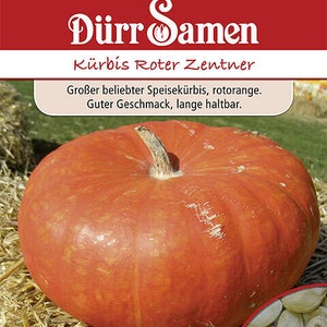 Kürbis Roter Zentner ca 6 Korn Kürbissamen