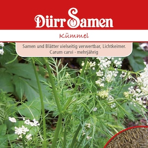 Caraway seeds from Dürrsamen Caraway seeds Spice caraway ca 500 grains