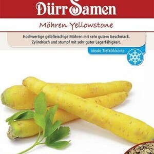 Könnte beinhalten: Eine Packung gelber Karottensamen, beschriftet mit "Dürr Samen Möhren Yellowstone". Die Packung zeigt ein Foto von drei gelben Karotten mit grünen Petersilienblättern. Der Text auf der Packung beschreibt die Karotten als hochwertig, gelbfleischig, mit gutem Geschmack und guter Lagerfähigkeit. Die Packung gibt auch an, dass die Karotten ideal zum Einfrieren sind.