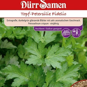 May include: Seed packet for Dürr Samen Topf-Petersilie Fidelio, featuring dark green parsley leaves. The text describes the parsley as having extra-large, glossy leaves with a very aromatic flavour. The packet also shows seeds. Suitable for a raised bed or balcony.