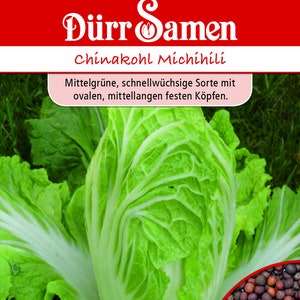 Semillas de col china Michihil de Dürr Samen Kohlsamen
