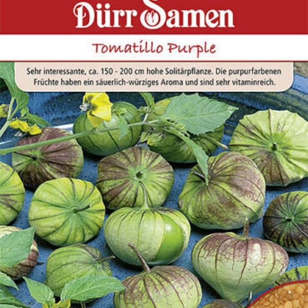 Tomatillo Purple Saatgut von Dürr Samen Spezialität Tomatillo Purple