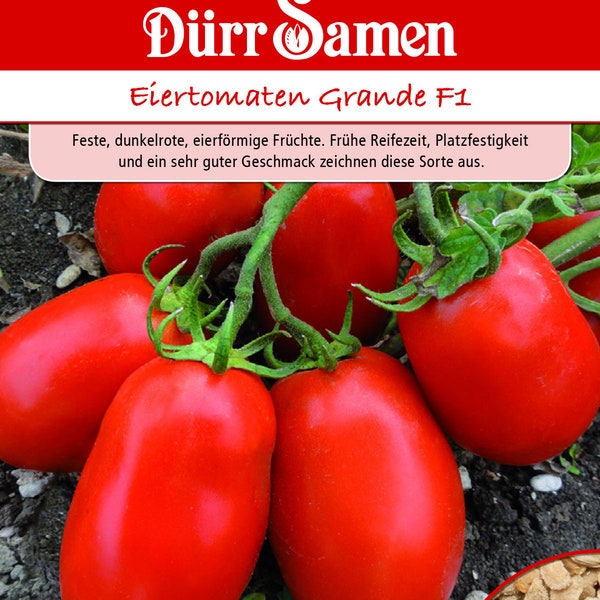 Plum Tomato Grande F1 seeds from Dürr Samen Tomato Seeds