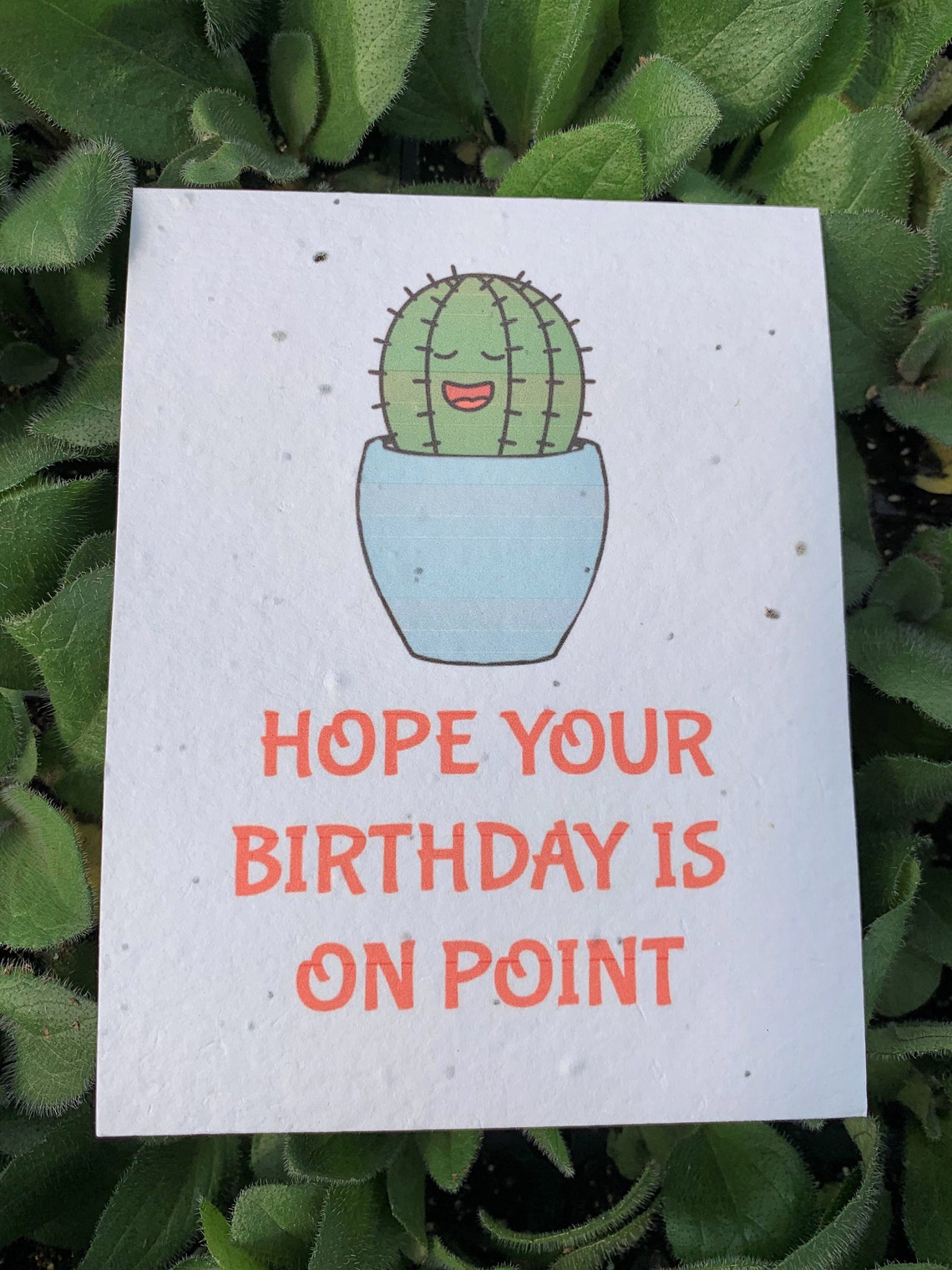 Plantable Greeting Card Hope Your Birthday is on Point Etsy