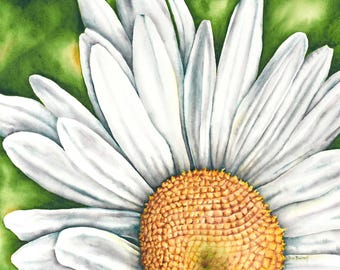 Watercolor Shasta Daisy Greeting Card: White Flower Close-Up