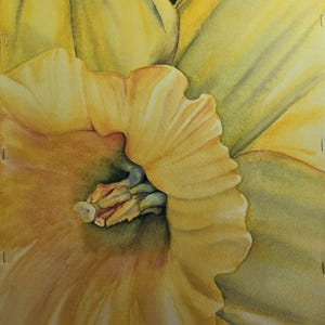 Gelbe Narzisse Aquarell Druckkarte: Blumengruß-Karte