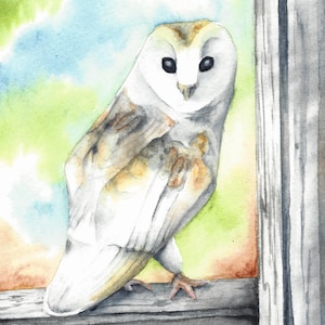 Watercolor Barn Owl Print Card: Elegant Blank Greeting Card