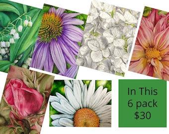 Floral Watercolor Greeting Card Set, Garden Flower Art, Pack of 6, Blank Cards
