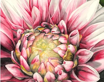 Red and White Dahlia Watercolor Print Card: Elegant Floral Note