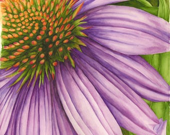 Watercolor Purple Coneflower Print Card, Floral Greeting Card