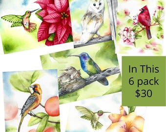 Watercolor Bird Greeting Card Set, Hummingbird, Oriole, Owl, Cardinal, Pack of 6
