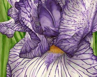 Watercolor Purple Iris Greeting Card: Vibrant Floral Art Print