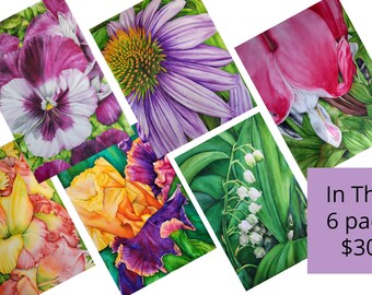 Floral Watercolor Greeting Card Set, Botanical Art Prints, Pack of 6, Blank Cards