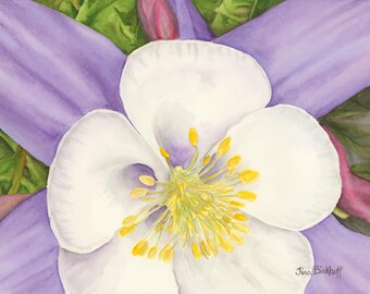 Purple Columbine Watercolor Print Card: Floral Greeting Card