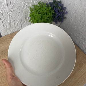 Op de afbeelding: Een witte keramische plaat met een licht verhoogde rand. De plaat wordt door een hand vastgehouden, met een houten oppervlak en decoratieve planten op de achtergrond. De plaat is rond en lijkt schoon te zijn.