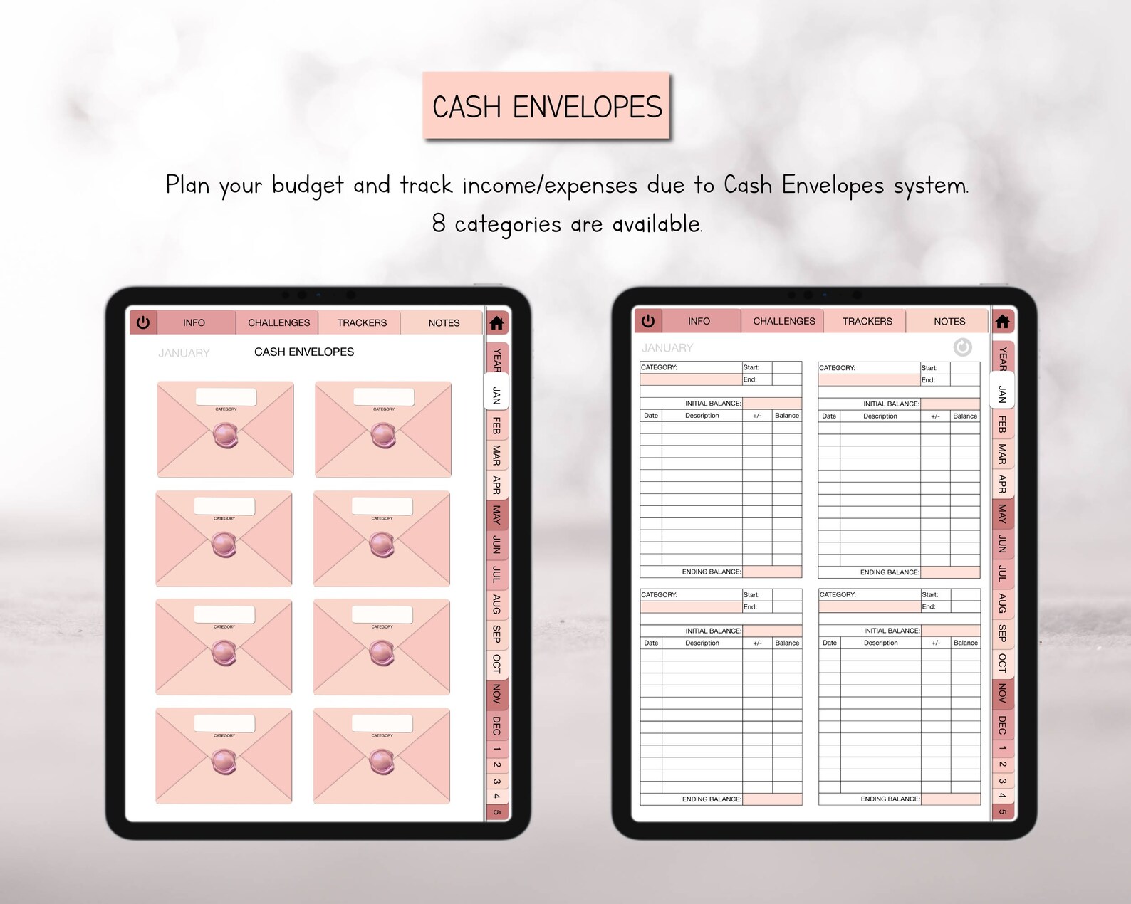 Budget Planner Digital Budget Planner for Ipad or Other Etsy