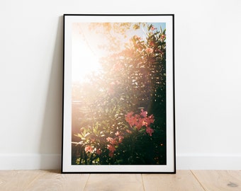 Sizilien Bougainvillea Fine Art Fotografie, Mediterrane Blumen Stimmung, Sommer Gefühl, Blumen Blüte Wand Kunst Großes Format